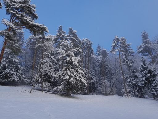 Winterlandschaft